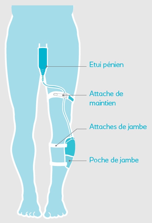 image6eyxh.png