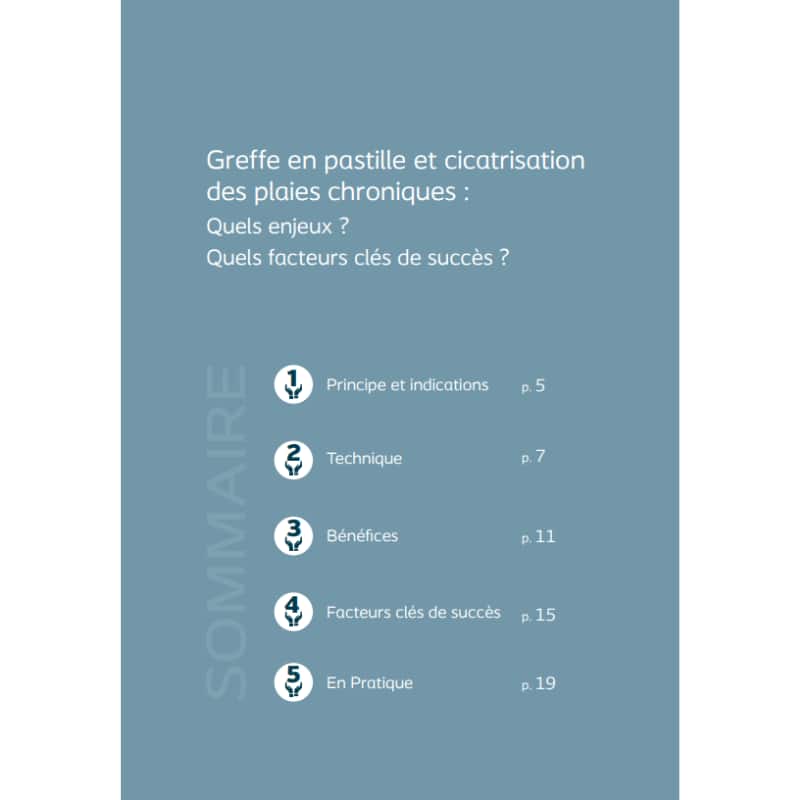 Sommaire du guide